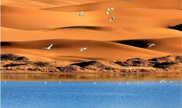 穿越千年沙海，感受大漠荒凉，安博人众人带您领略腾格里沙漠之旅  