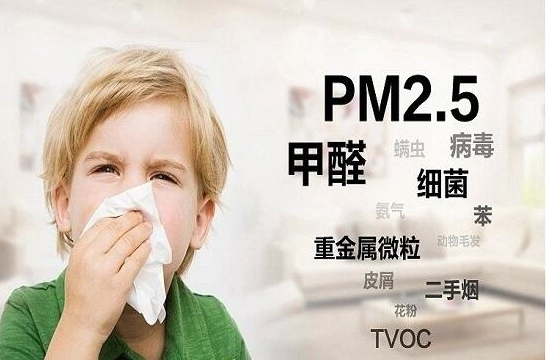 雾霾来临，专家为您解读如何根除PM2.5 